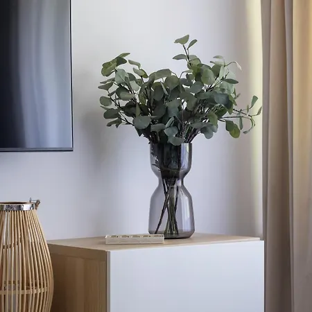 Exclusive With Air Conditioning And Balcony By Renters Prestige Apartment